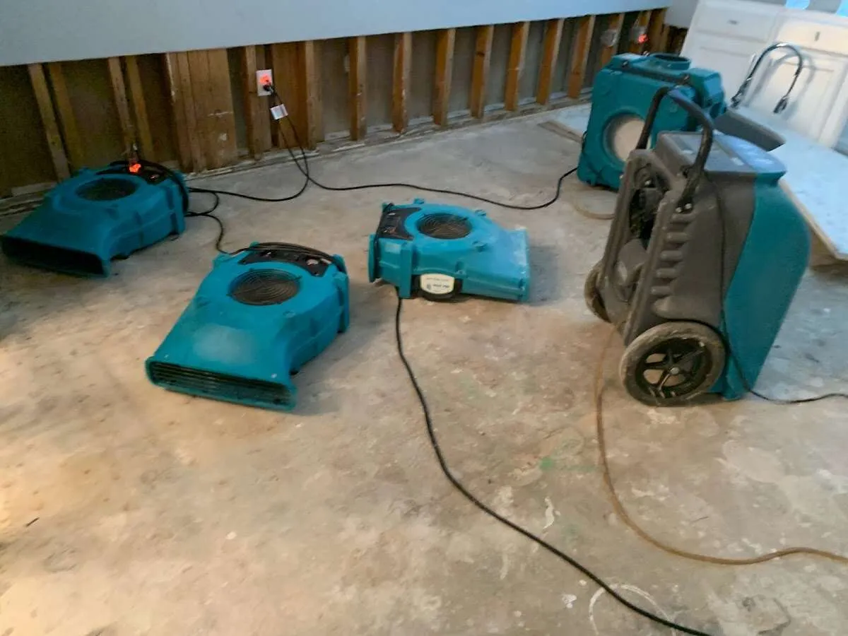 Drying & Dehumidification in Lithia Springs, GA